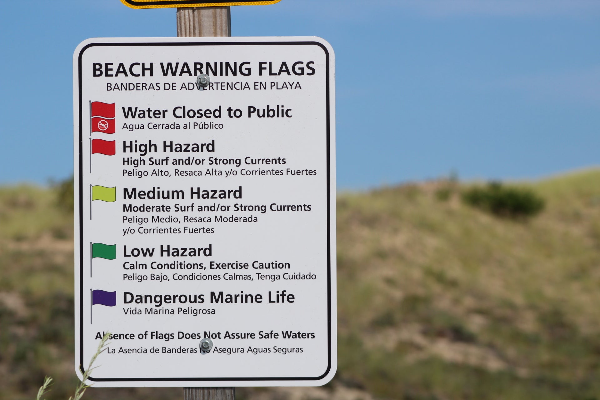 Beach Warning Flags